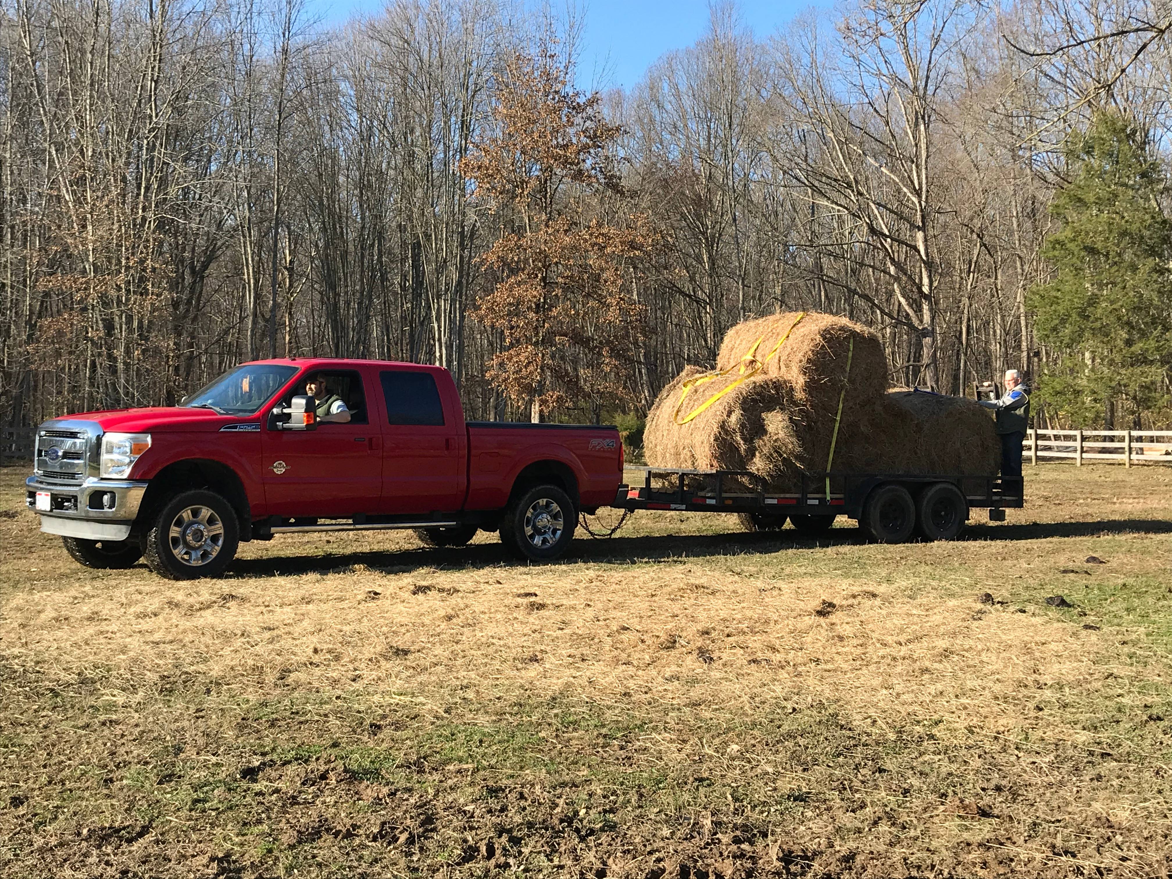 Guys Loading Trailer with Hay